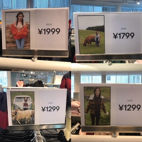 20180926_13.JPG