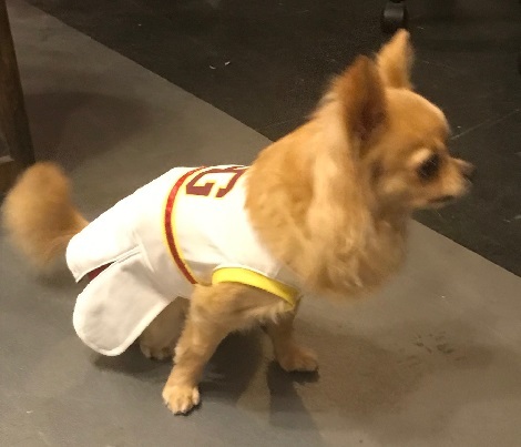 20190930_06.jpg